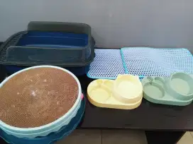Perlengkapan kucing