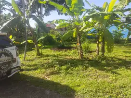 1 JUTAAN, Tanah Murah Dekat Candi Prambanan, Yogyakarta