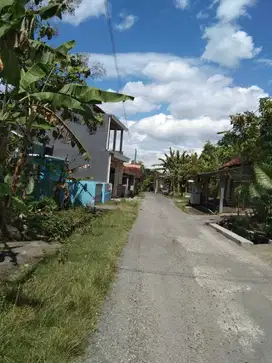 TANAH PEKARANGAN MURAH MANGKU JL ASPAL LOKASI SELATAN KASONGAN.JK13382
