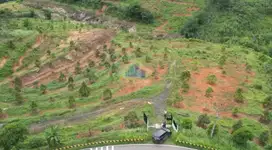Jual Tanah Perkebunan di Jl Raya Jasinga Bogor Jawa barat