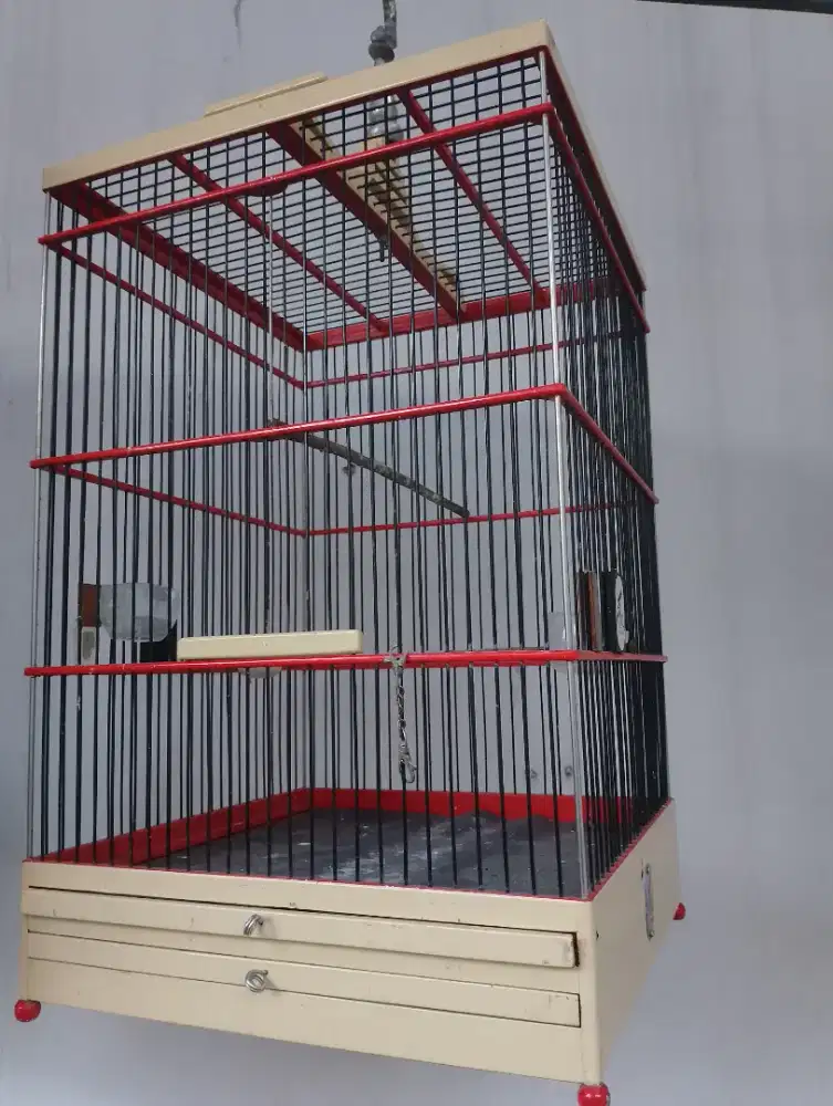 Kandang burung kotak