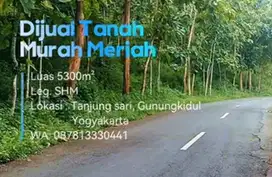 Dijual Tanah Murah banget Luas 5300m² Harga 140 jt Mangku jalan aspal