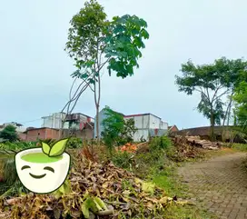 TANAH MURAH SIAP BANGUN DEKAT KAMPUS MALANG SHM NEGO!