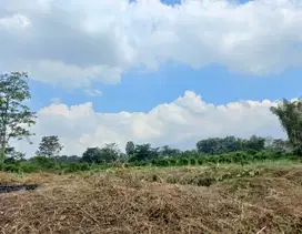 Dijual Tanah Premium Dau Lokasi Terbaik untuk Villa Mewah