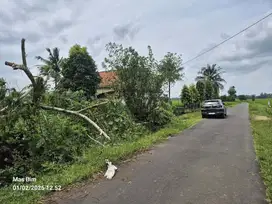 TANAH DI BATANG HARI LAMPUNG TIMUR