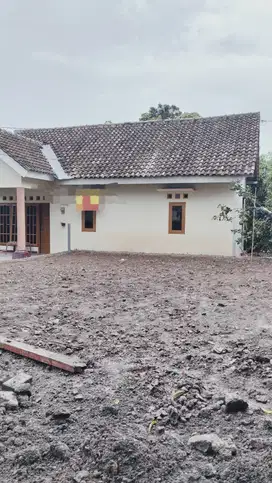 Rumah Dekat Patung Kuda Ngesrep Undip Semarang