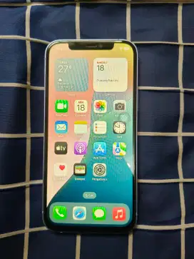 Jual iPhone 12 128GB Inter All Operator