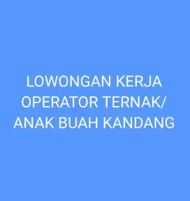 Lowongan Kerja Operator Ternak/Anak Buah Kandang