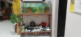Jual Aquarium bekas kondisi masih bagus