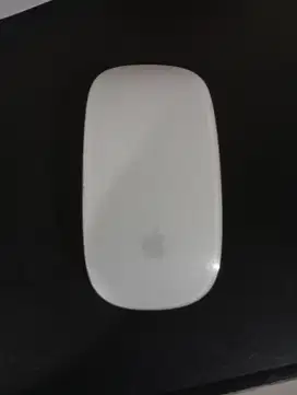 Apple magic mouse Gen2