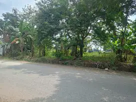 Jual Tanah luas hampir 4000m