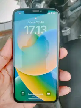 iPhone X 256GB All operator