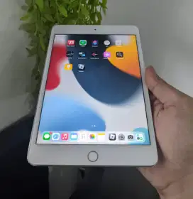 iPad mini 4 64gb wifi only