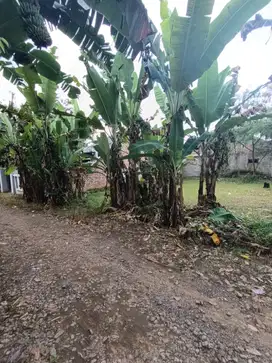 TANAH MURAH DI JATIMULYO