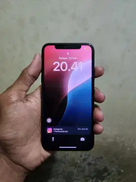 iPhone Xs 64 GB All Operator