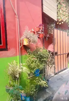 Dijual cash rumah kampung siap huni