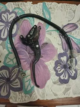 Master Rem RCB E2 series ORI Nego Bisa