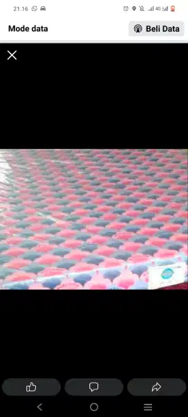 Kasur bigfoam baru