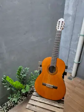 Gitar Yamaha Akustik C40