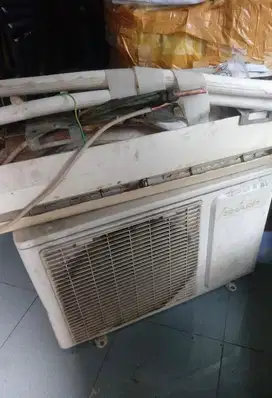 AC Sharp 1/2 PK