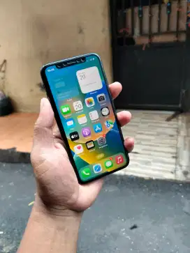 iPhone X 256gb hp charger
