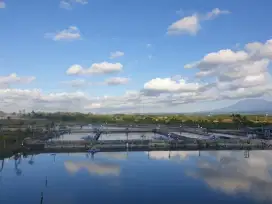 Dijual Tambak Udang Aktif, 1.6 Ha, 8 Kolam, Banyuwangi Kota
