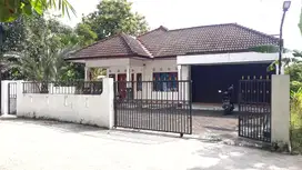 Rumah sewa tanah luas di Balecatur Gamping