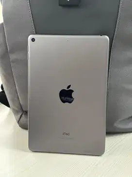 Ipad Mini 5 Grey Like New 256gb