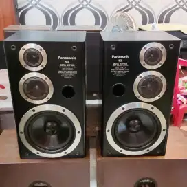 Panasonic SB D5500 speaker