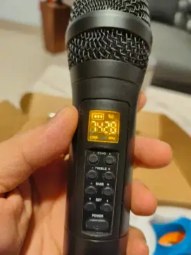 Mic Wireless ASHLEY E-CHO