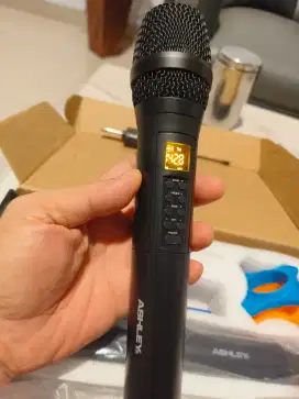 ASHLEY Mic Wireless E-Cho