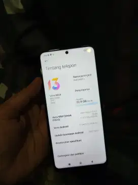 Poco x3 pro 8/256 hp casan