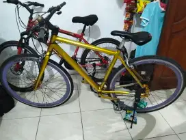 sepeda bekas surabaya utara