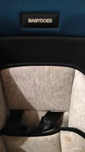 Carseat Babydoes