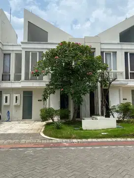 rumah grand pakuwon cluster adelaide