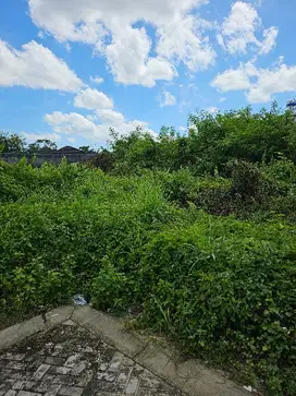 Kav.TURUN HARGA Bella Vista Garden 1,6M