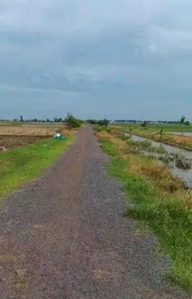 Tanah 2Ha Di Subang Siap Bangun Pabrik Gudang Tempat Usaha