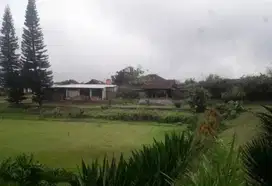 Dijual Tanah Strategis Kampung Ciburial Cibogo Lembang Siap Bangun