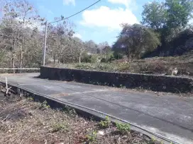 TANAH UNGASAN JIMBARAN AREA VILLA