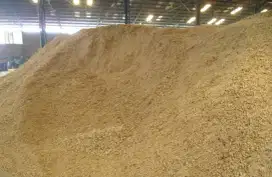 Tongkol jagung impor pakan ternak