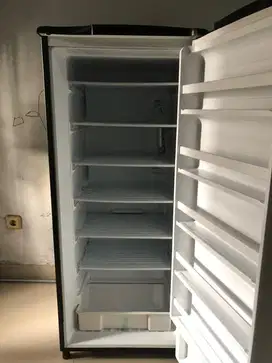 STANDING FREEZER AQUA SQF-6