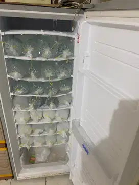 Kulkas Freezer Sharp 1 pintu