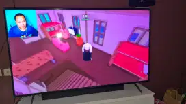 Tv sony 65 barang bagus