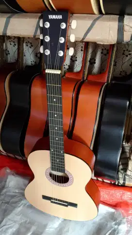 Gitar akustik pemula