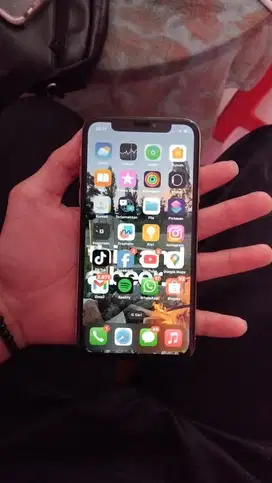 iphone x 256gb inter