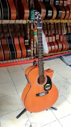 Gitar cort elektrik