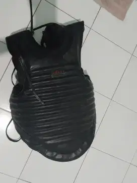 Body protector silat