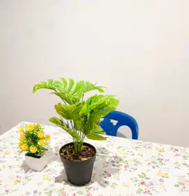New&  Clean Kamar Kost Ngagel dk semolowaru pucang nginden bratang