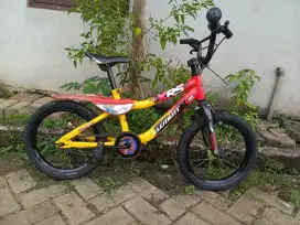Sepeda anak element murah