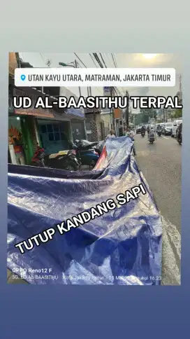 TERPAL KANDANG SAPI